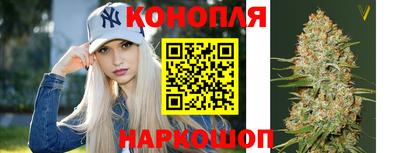гидропоника Славгород