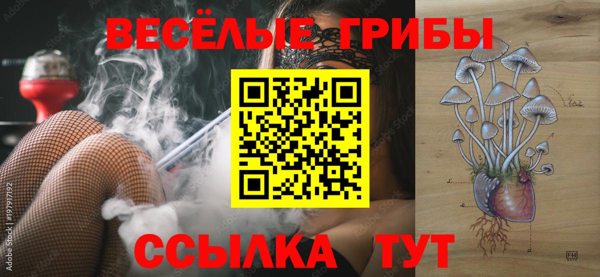 Новороссийск  Галлюциногенные грибы GOLDEN TEACHER  Вход с VPN 